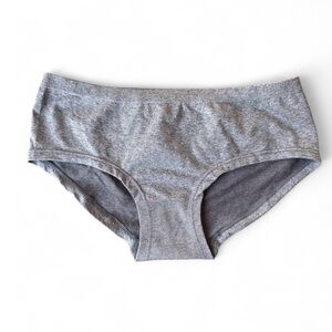 NWT Aerie Boybrief Underwear in Heathered Grey